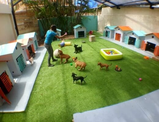 Pet Mansion
