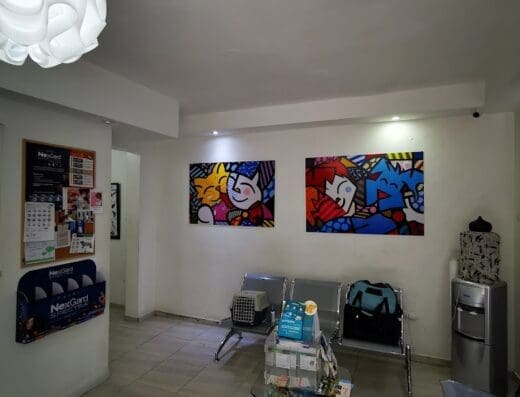 Pili’s Vet | Clínica Médica de Mascotas