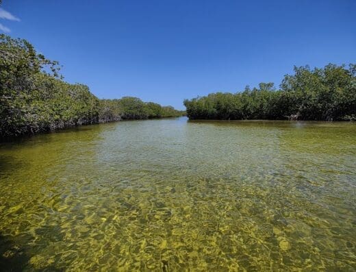 Piscina Natural Montecristi