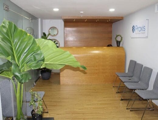 Praxis Psicología Integral