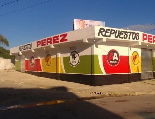 REPUESTOS Pérez