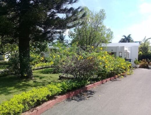 Residencia de Recuperación Mental