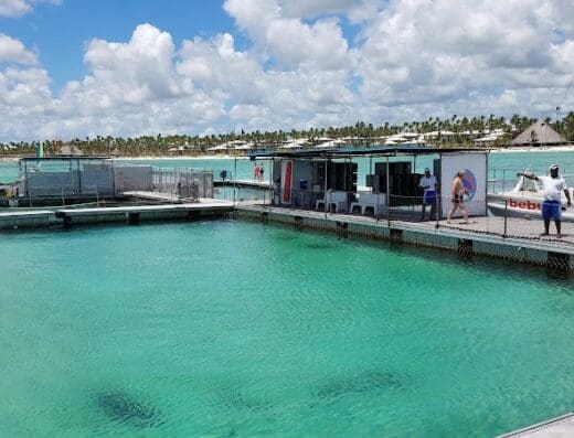 Seaquarium Punta Cana