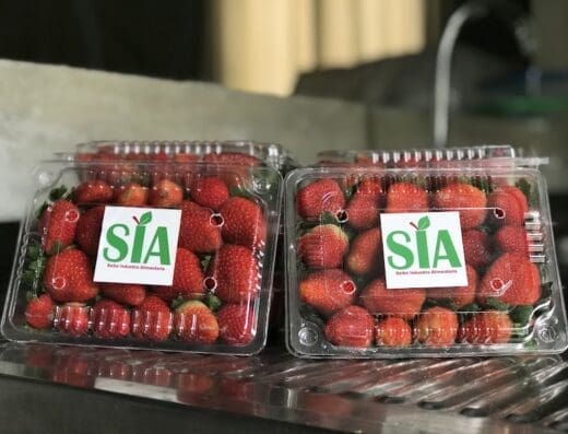 Seibo Industria Alimentaria