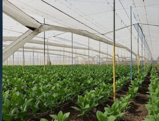 Servicios Ferro-Agro – Santiago