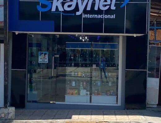 Skaynet International