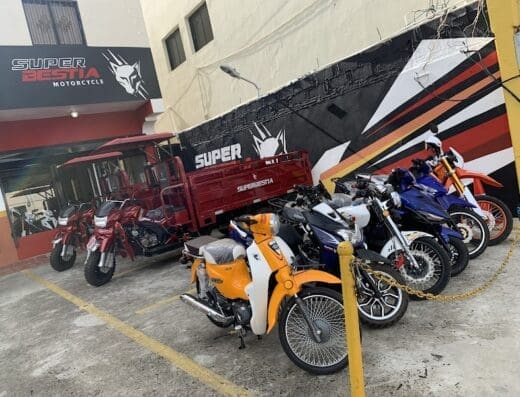 Súper bestia San Juan de la maguana