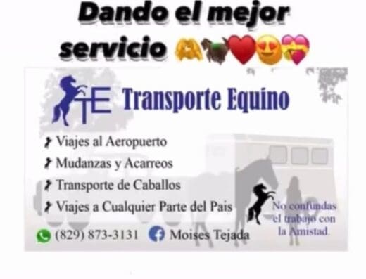 Transporte Equino Moises Tejada (taxi, mudanzas, traslados al aeropuerto y transporte animales)