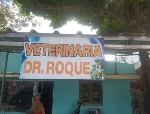 Veterinaria Dr. Roque