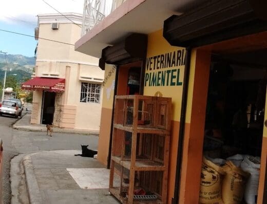 Veterinaria Pimentel (Ganadero Ocoeño)