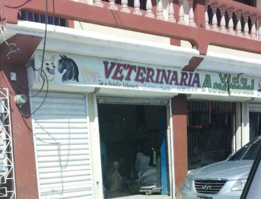 Veterinaria Vida Animal