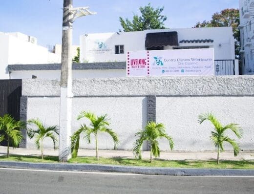 VitalVet – Centro Clínico Veterinario Dra. Dujarric