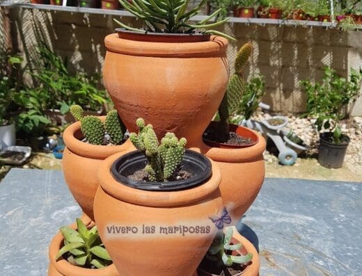 Vivero Las Mariposas