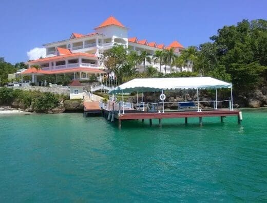 WHALE SAMANA™ 🐋 Since 1983