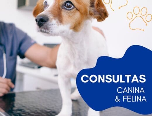 Zoona Animal Veterinaria