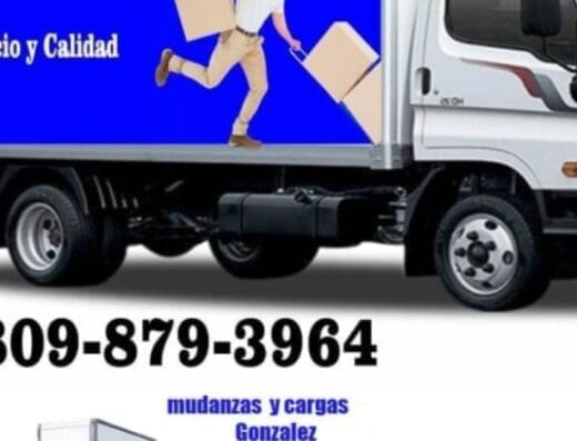 mudanzas y cargas gonzalez